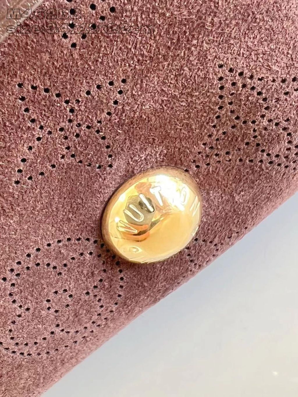 圖片_20251221110333