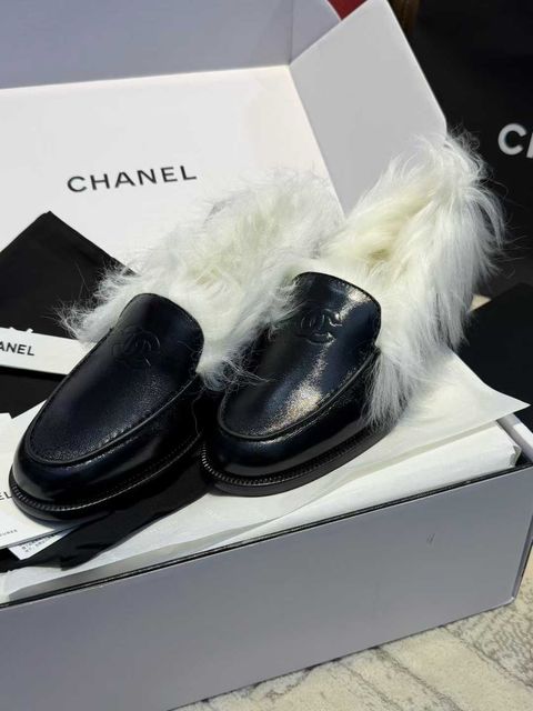 圖片_20251221121732