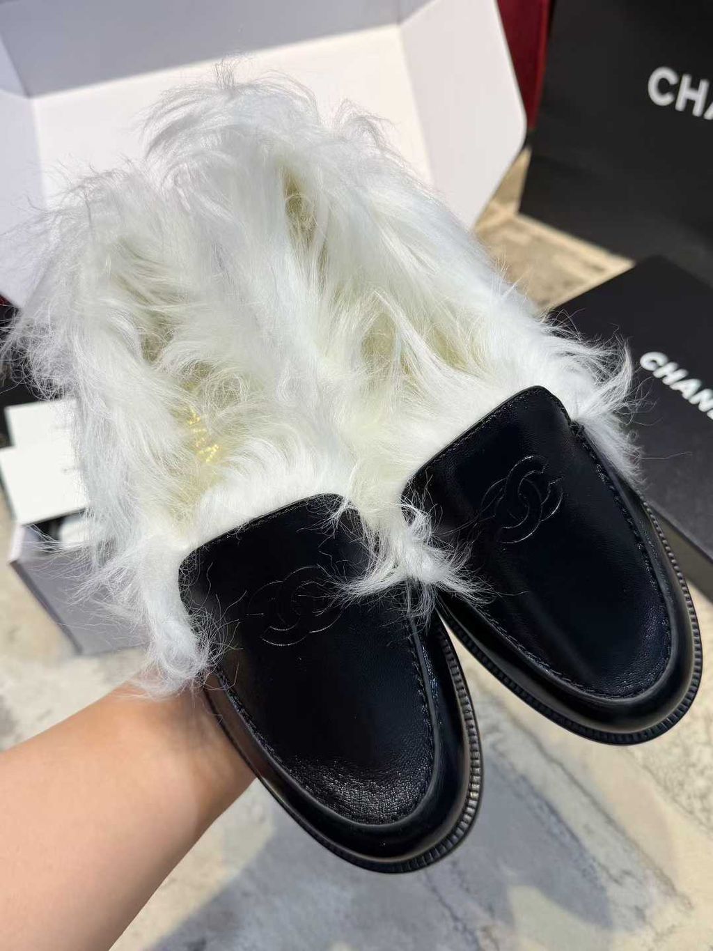 圖片_20251221121728