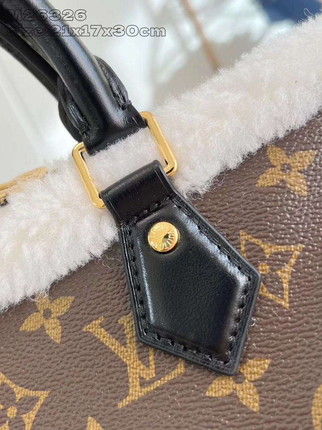 圖片_20251224150930