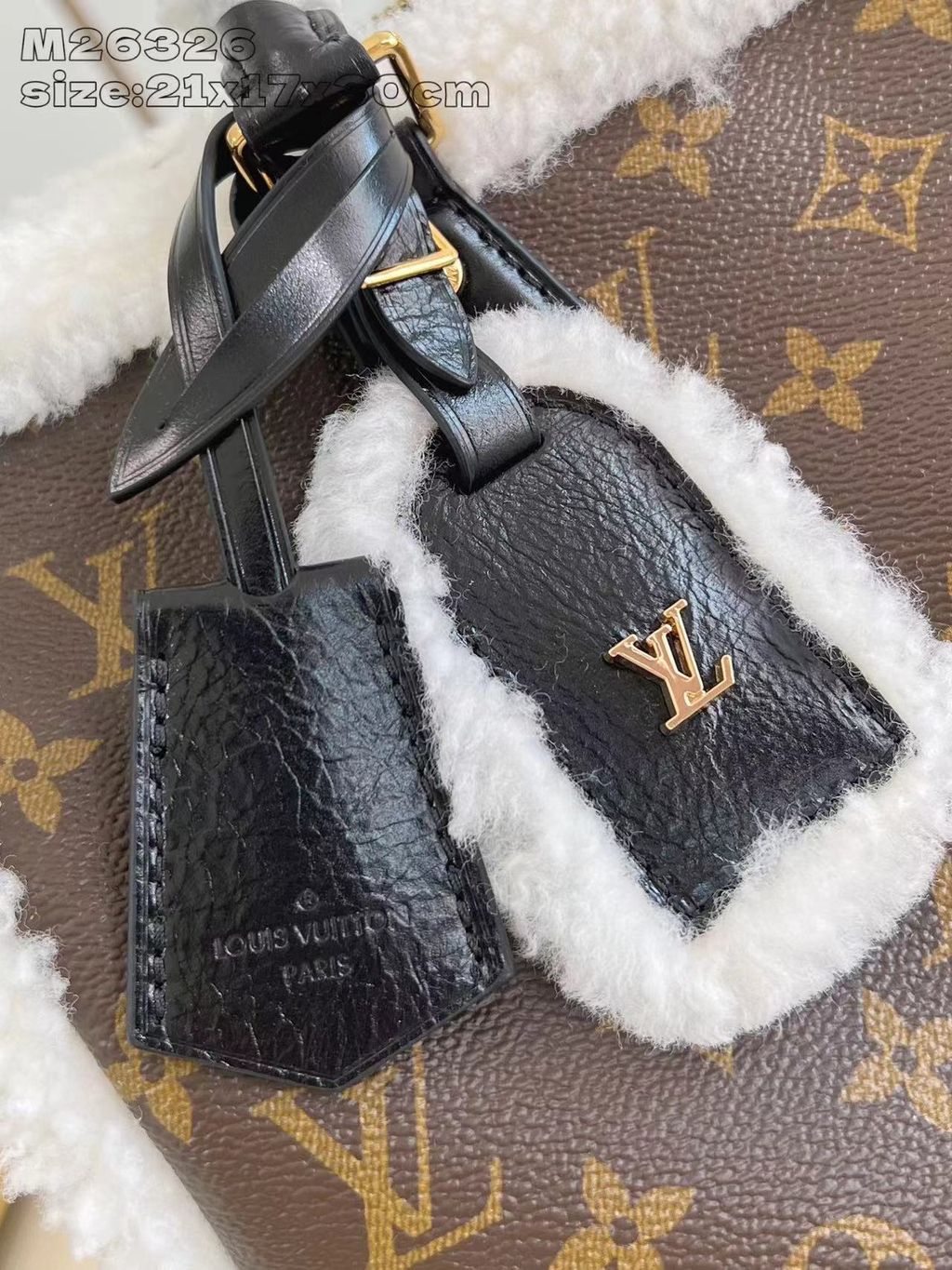 圖片_20251224150931