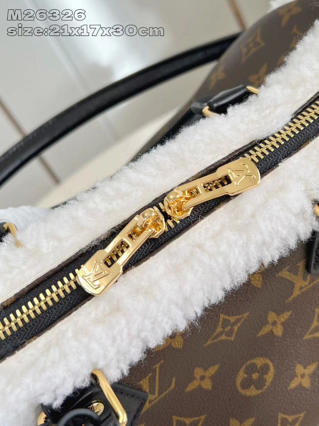 圖片_20251224150939