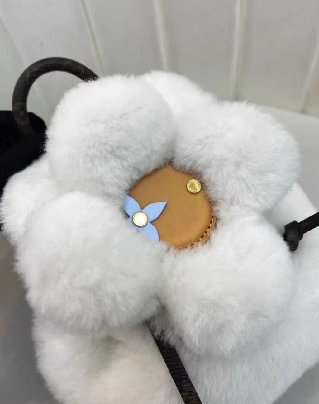 圖片_20251224152846