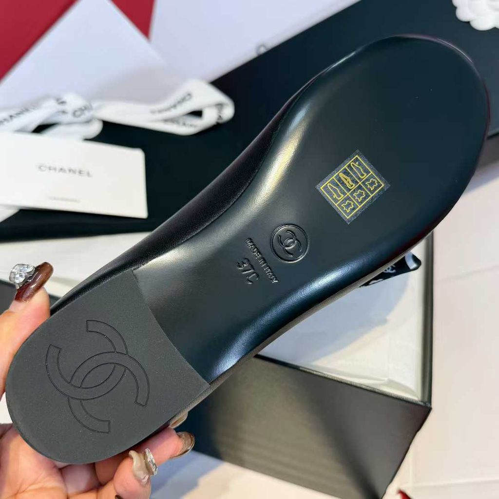 圖片_20251225121557