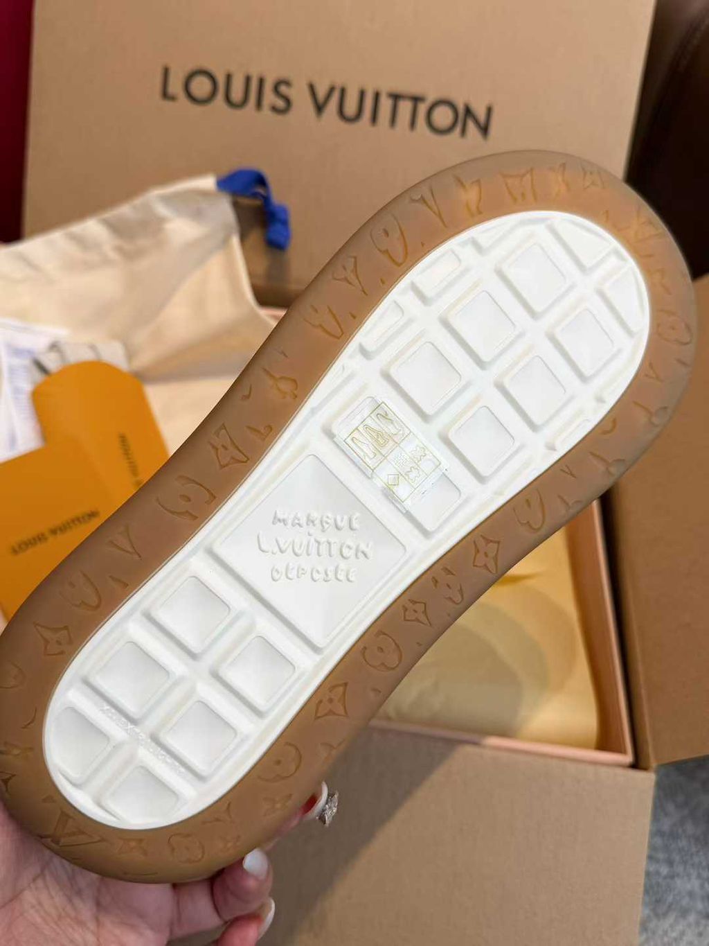 圖片_20260301164812