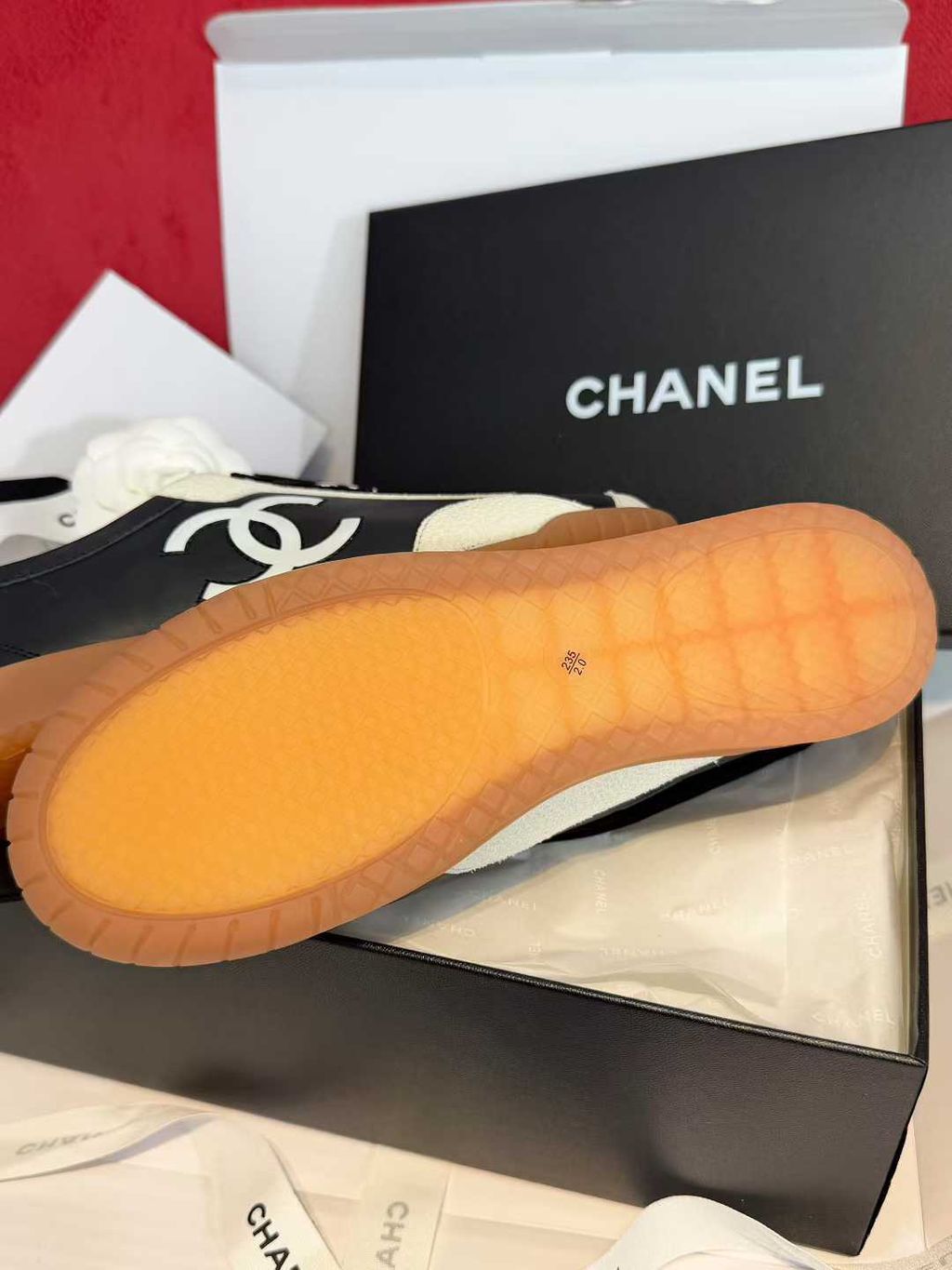 圖片_20260301163951