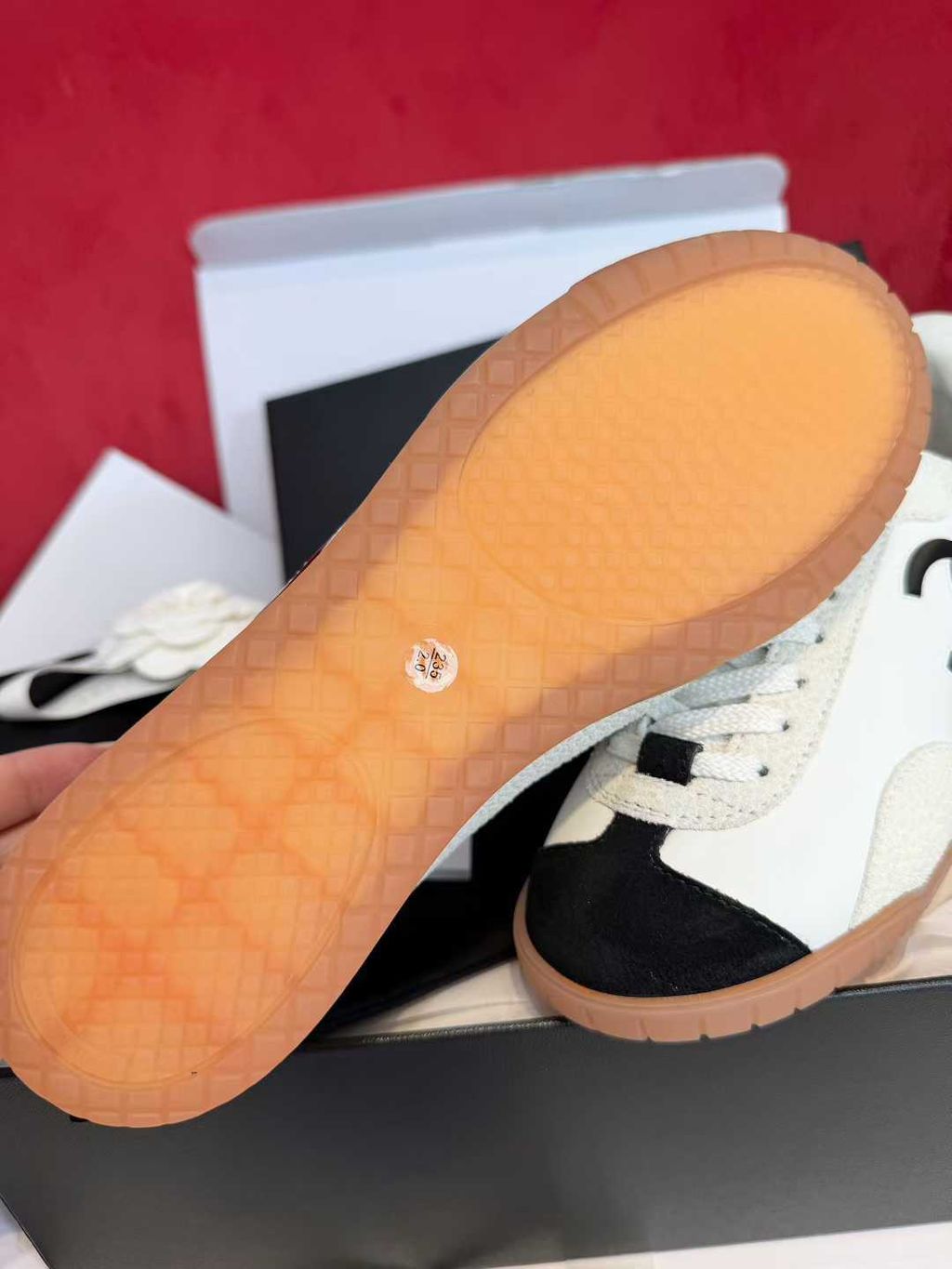 圖片_20260301164006