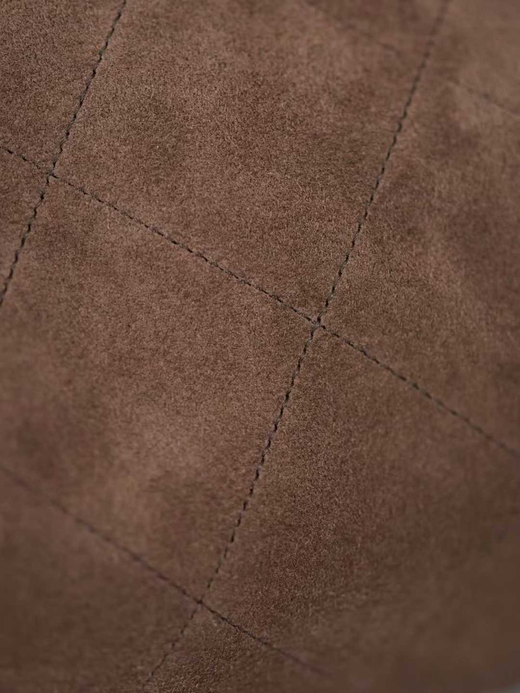 圖片_20260301160050