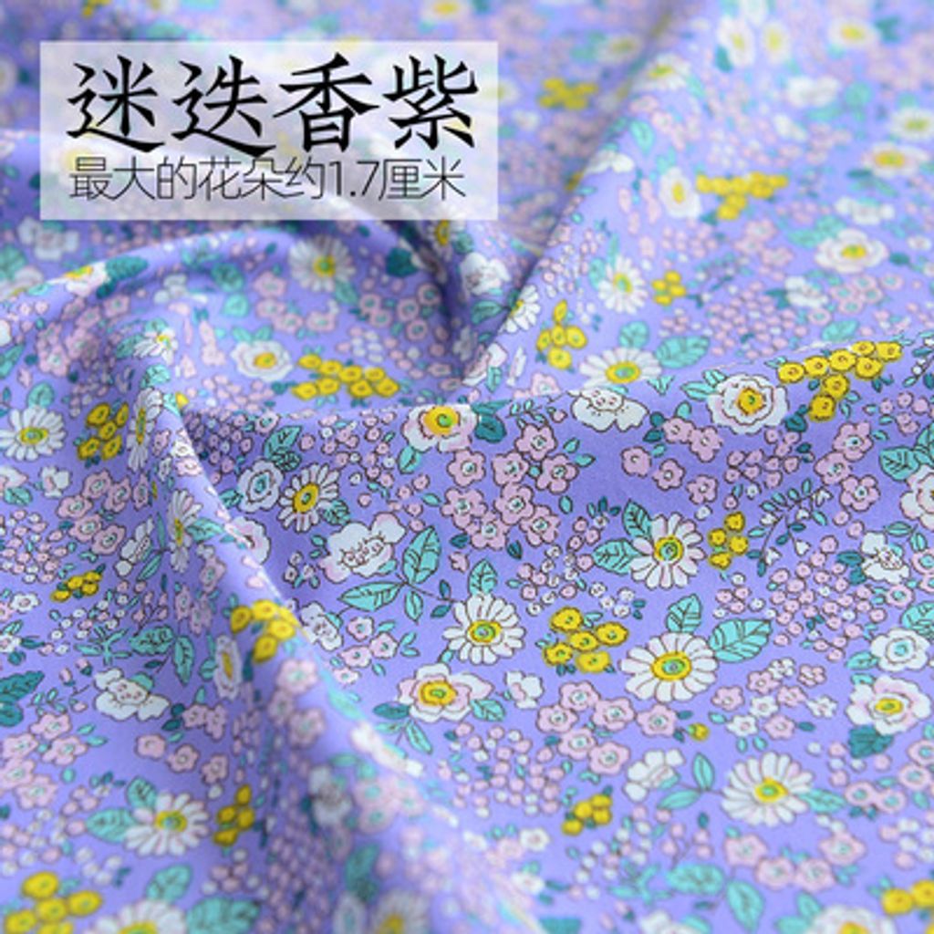 迷蝶子
