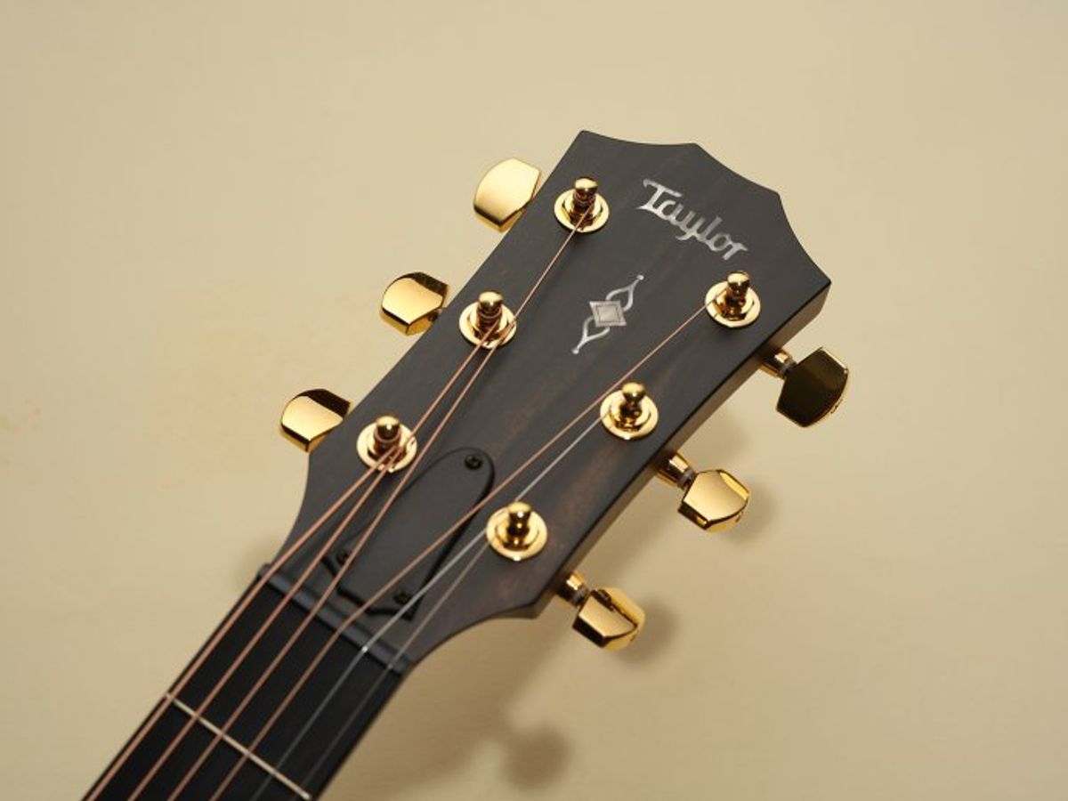 Taylor 314ce LTD 回顧 50 年的致敬