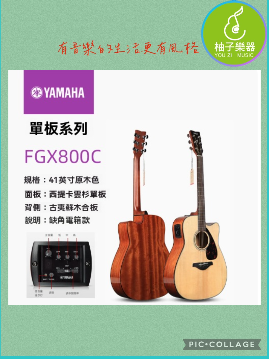YAMAHA FGX800C封面
