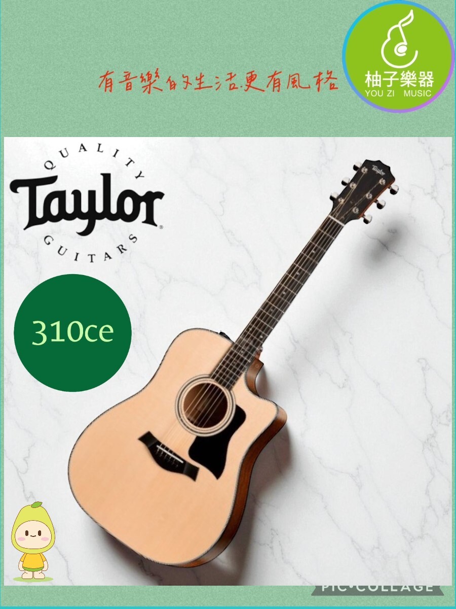 TAYLOR 310CE-封面