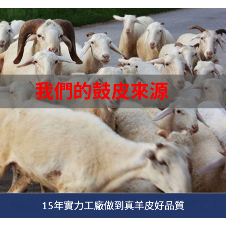 tw-11134207-81ztn-mj5a2oj3teyof4