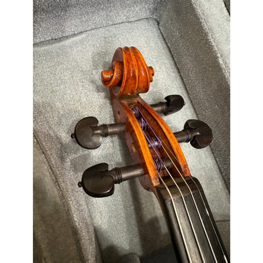 tw-11134207-81ztp-mji5oxrqd3bb30