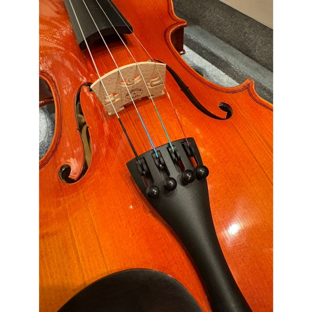 tw-11134207-81zth-mjilogb4229te5