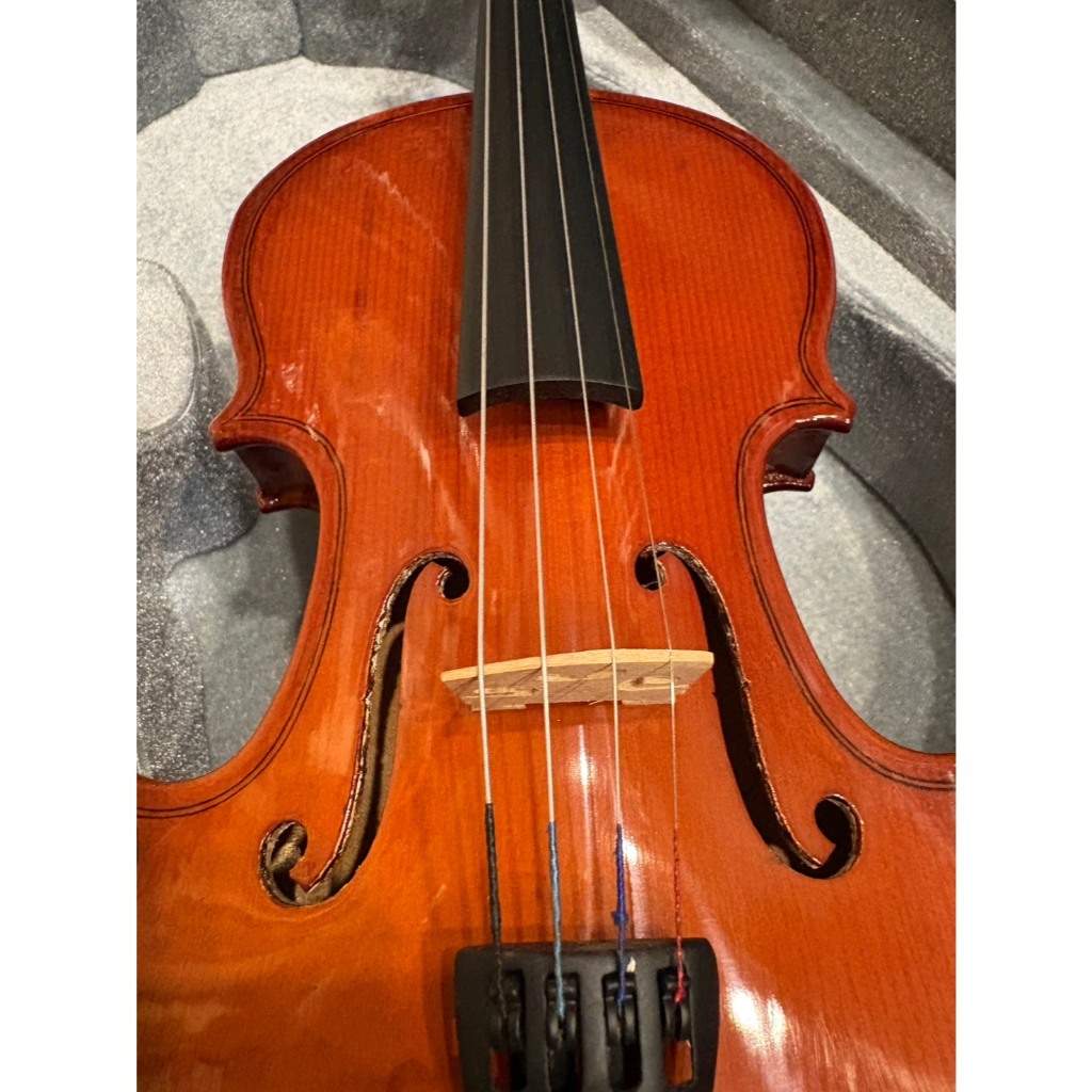 tw-11134207-81ztp-mjfhvpa5foqr35