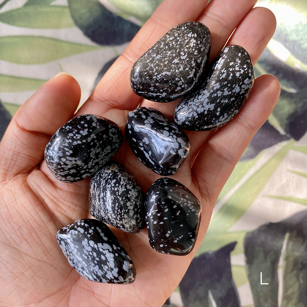 Tumbles - Snowflake Obsidian - 5.jpg