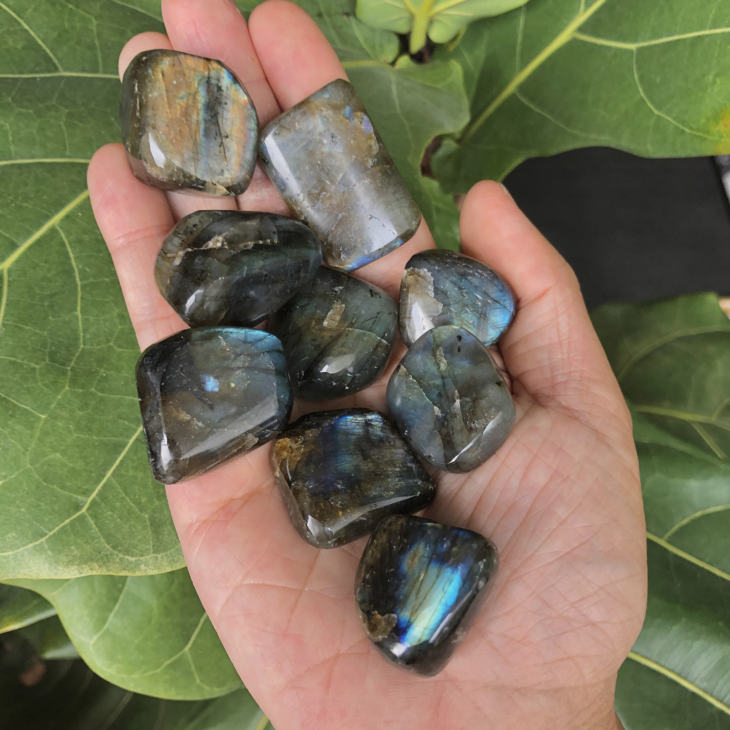 Tumbles - Labradorite - 1.jpg