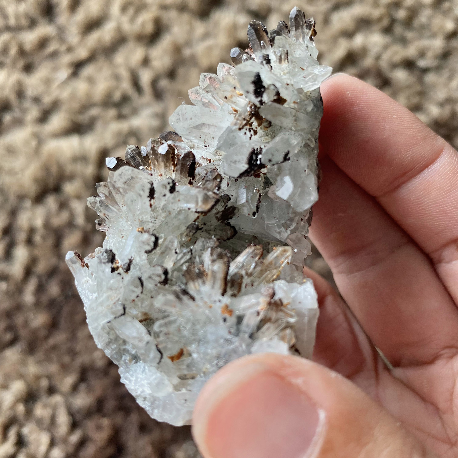 Cluster - Quartz with Hematite - 5.jpg