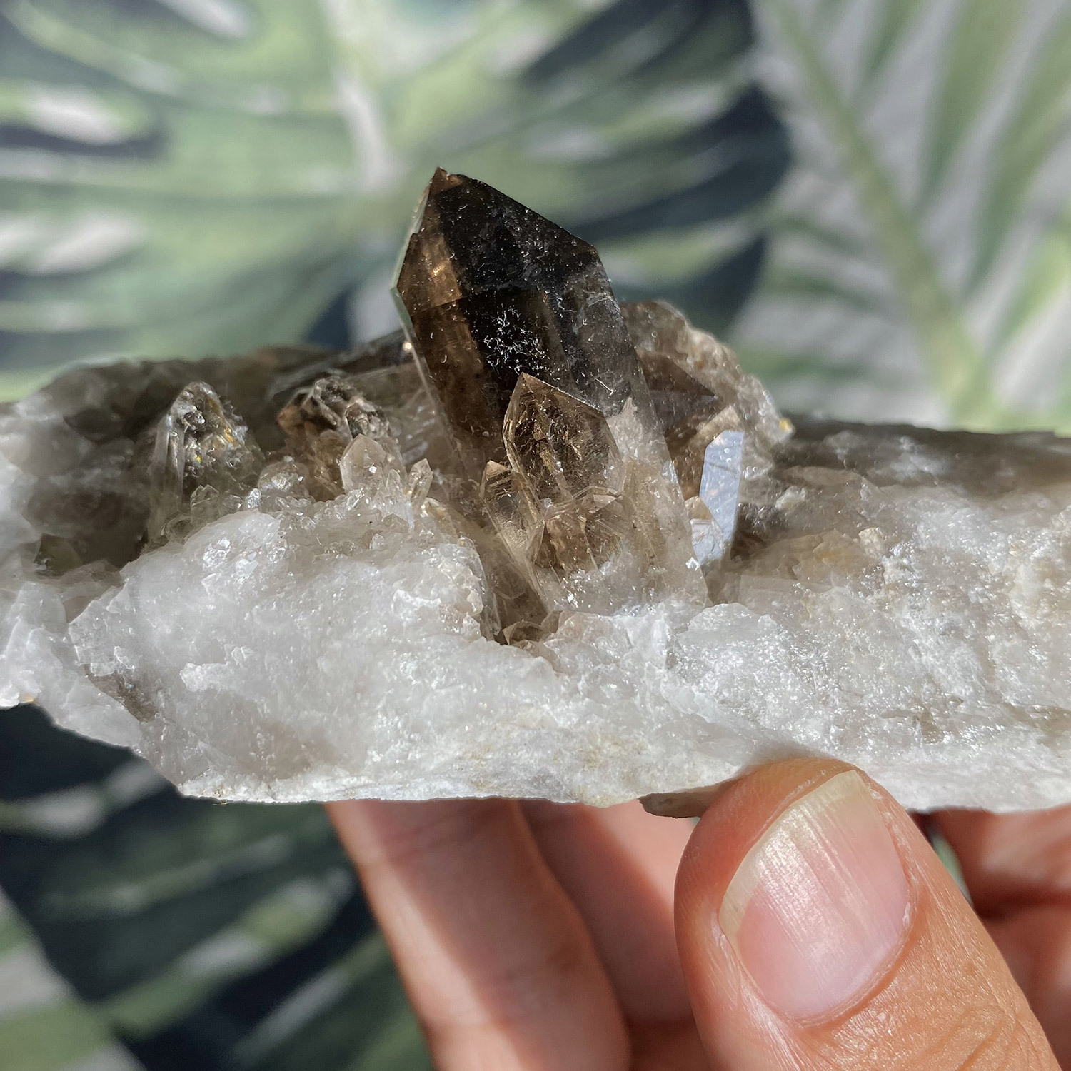 Cluster - Smoky Quartz -1.jpg