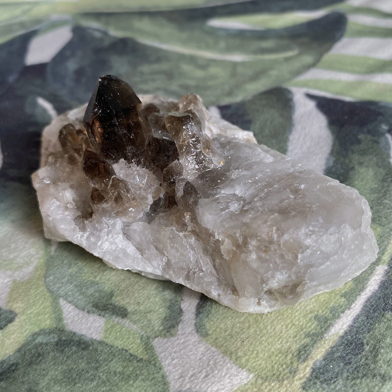 Cluster - Smoky Quartz -7.jpg