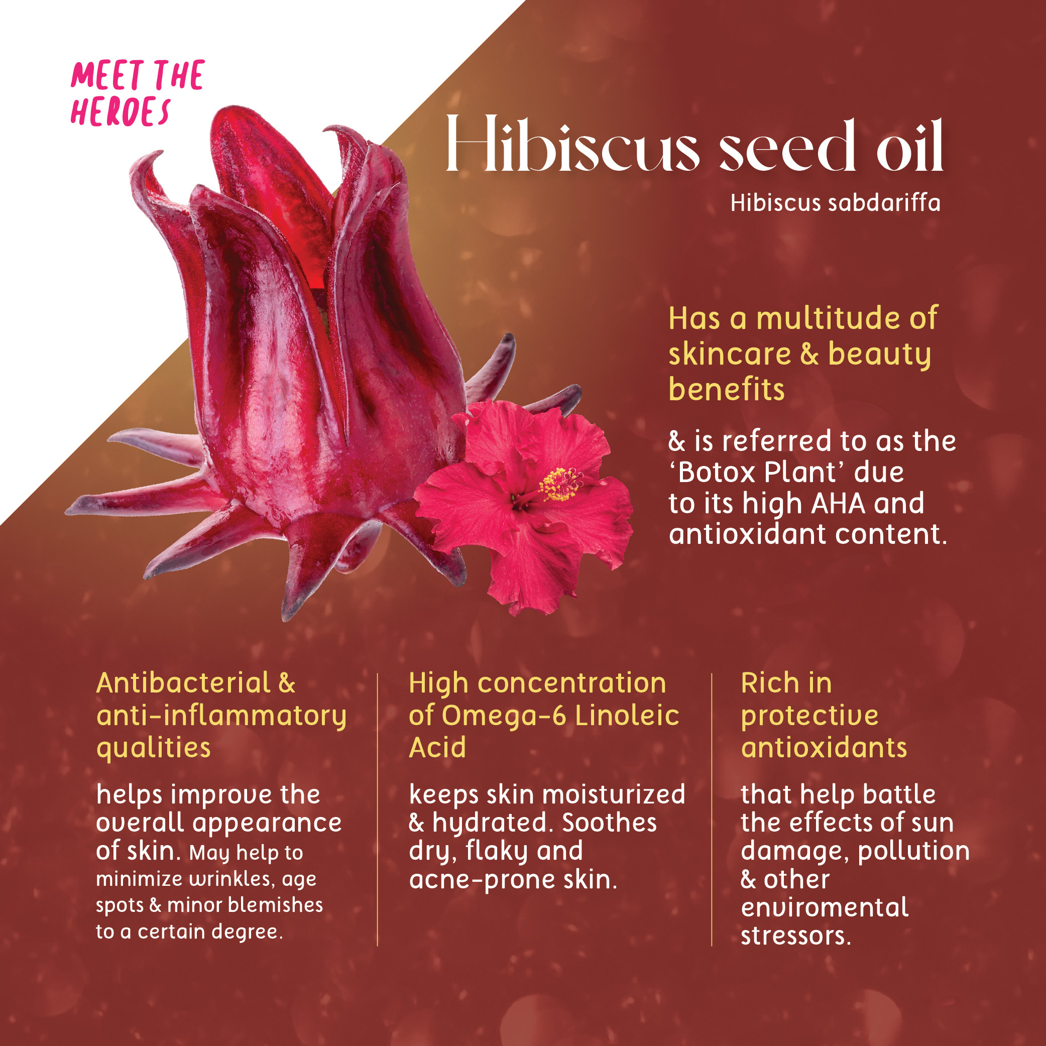 Hibiscus_Raya 3