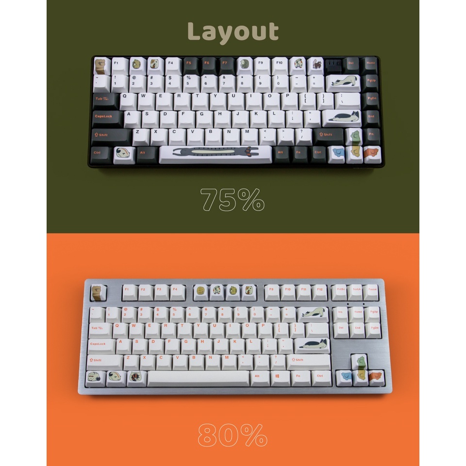 sg-11134201-22110-pfixzrs02mjve6