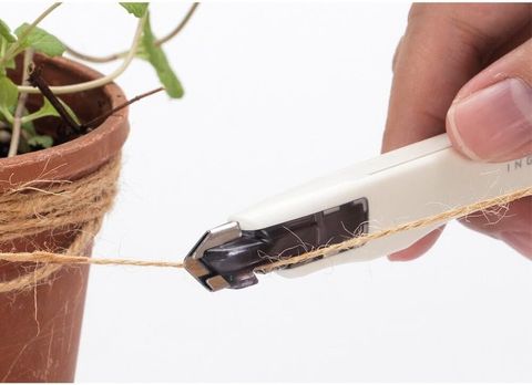 61cytgoKpXL._AC_SL1000_