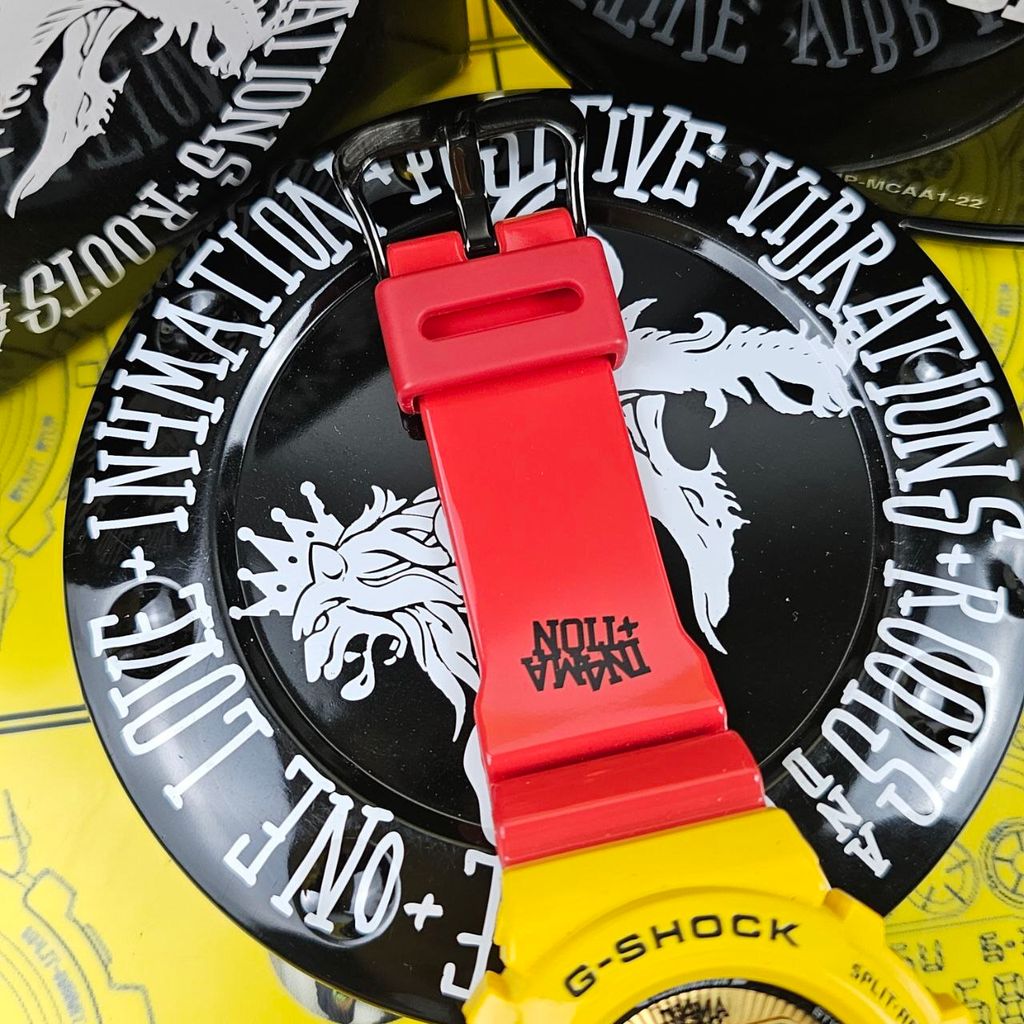 photo_6145708553009219527_y