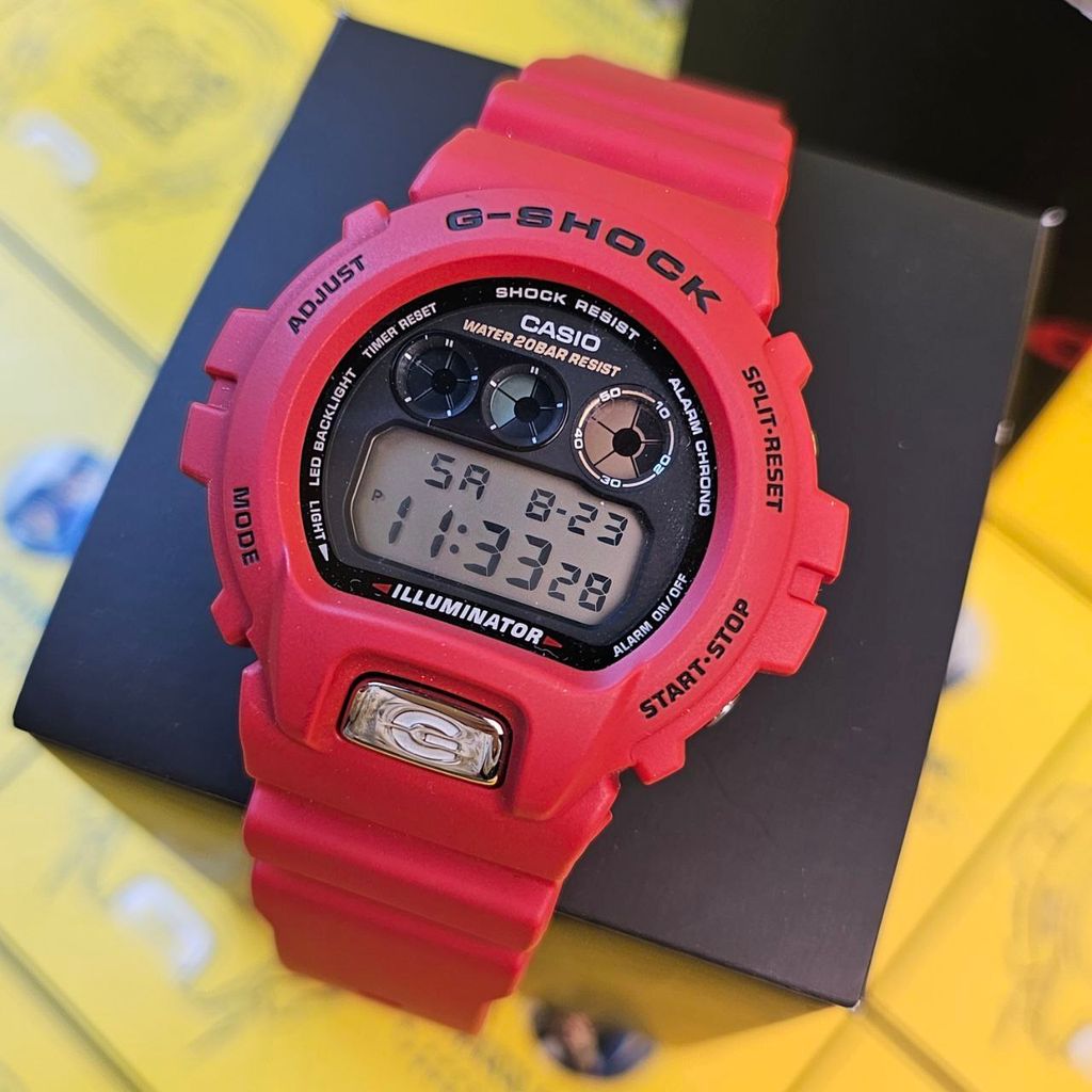 photo_6145488719403140791_y