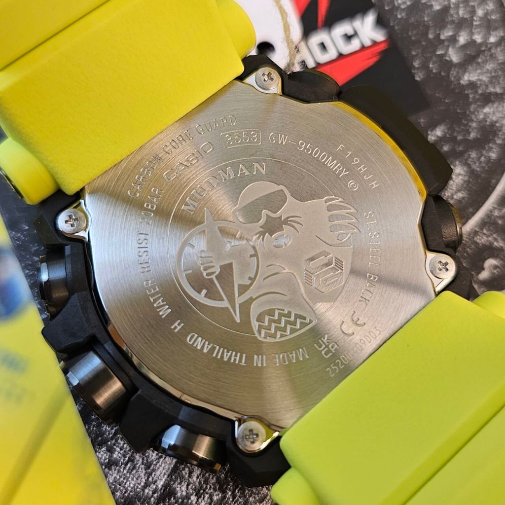 photo_6066650492991292721_y