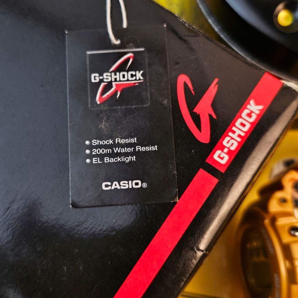 photo_6177096659339690652_y