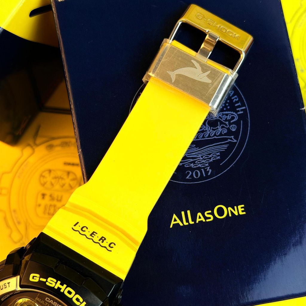 WhatsApp Image 2025-12-06 at 9.34.48 AM (4)