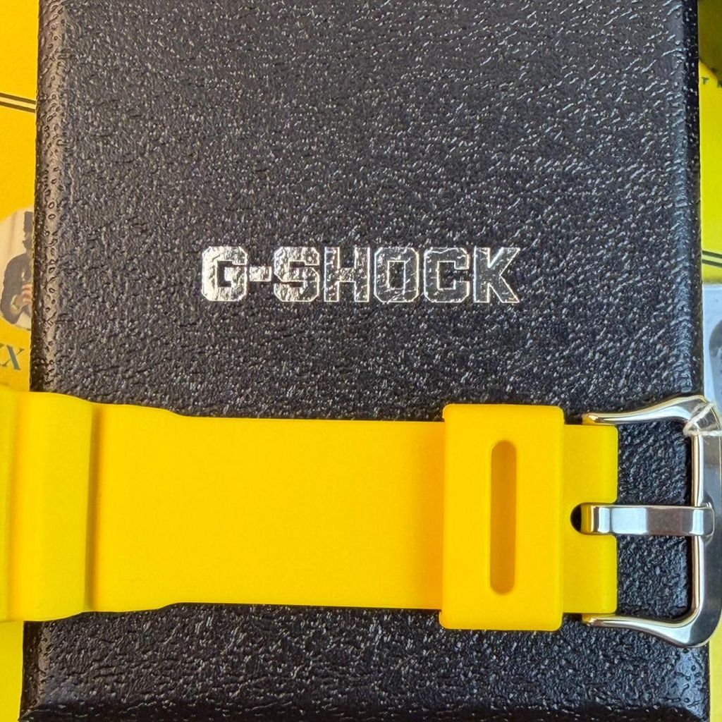 WhatsApp Image 2026-01-22 at 11.31.16 AM