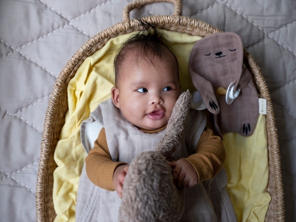 Pacifier Cuddle - Sloth - Warm Grey 2.jpg