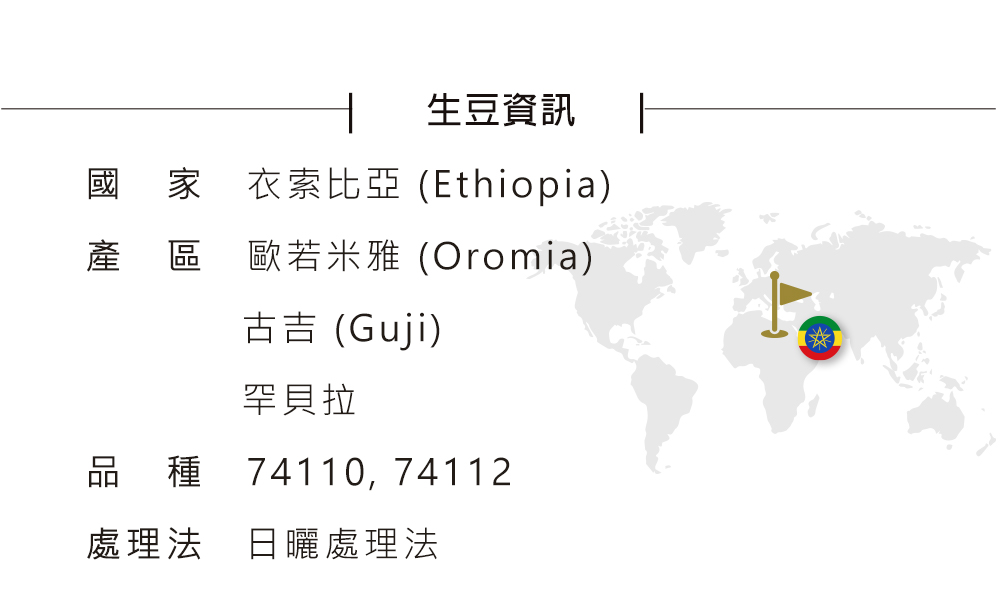 衣索比亞耶加雪菲T.O.H冠軍處理廠  阿朵斯 限量微批次-02.jpg
