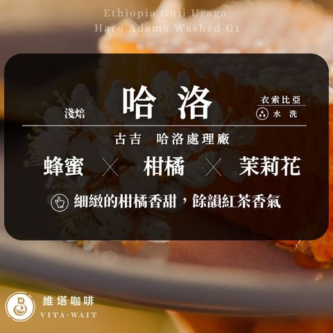 維塔 哈洛水洗