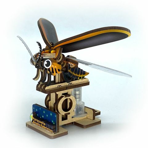 MC-013_02.jpg