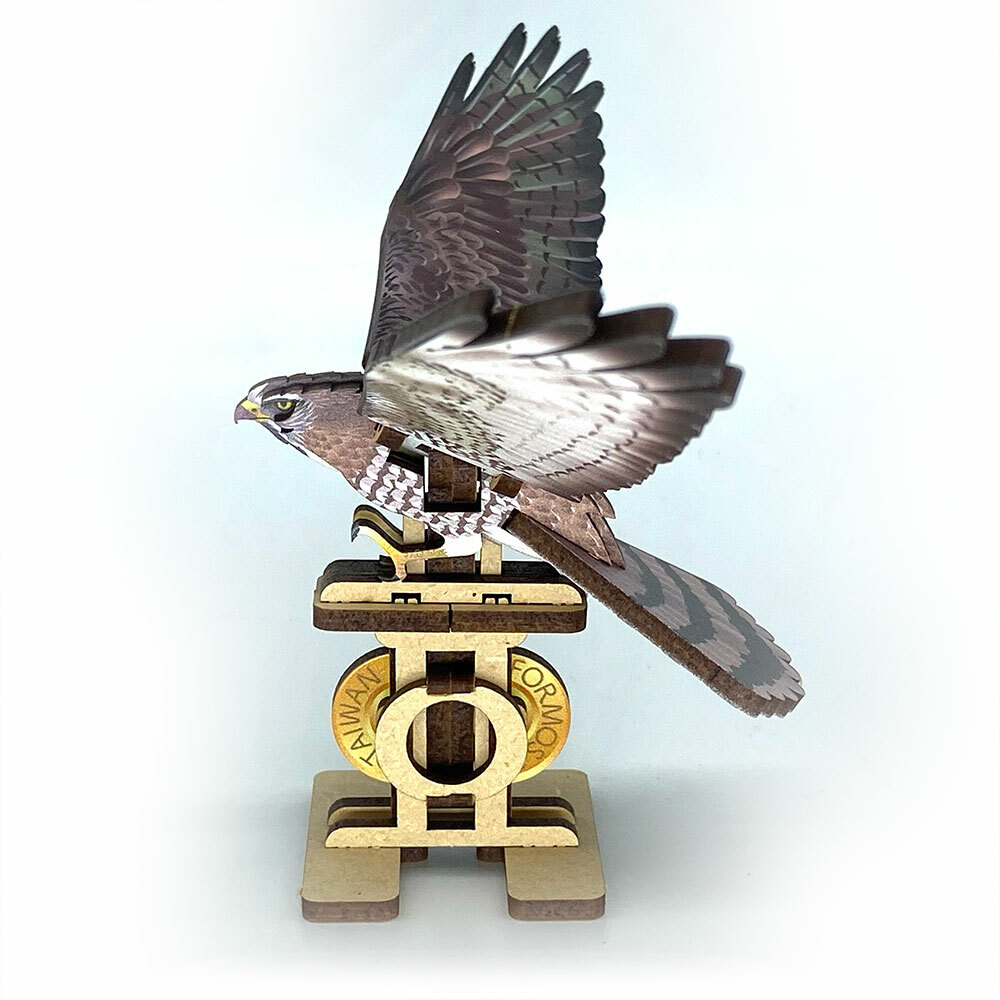 MC-015 灰面鵟鷹Grey-Faced Buzzard – Fuumas Puzzle