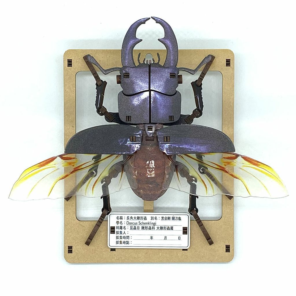 MC-020_04.jpg