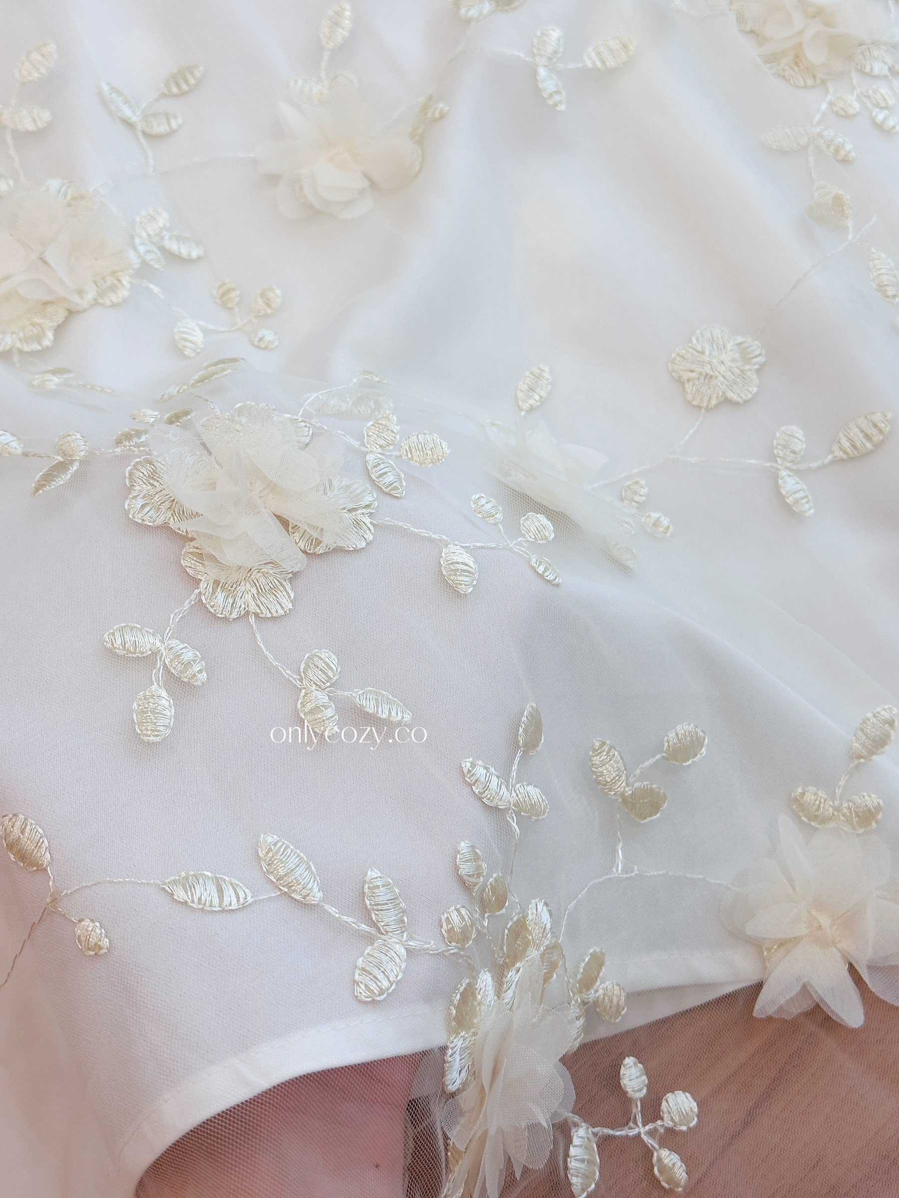 image_0CE53F5B-99A0-4FD8-BDDB-5905414D2E37_1774962923