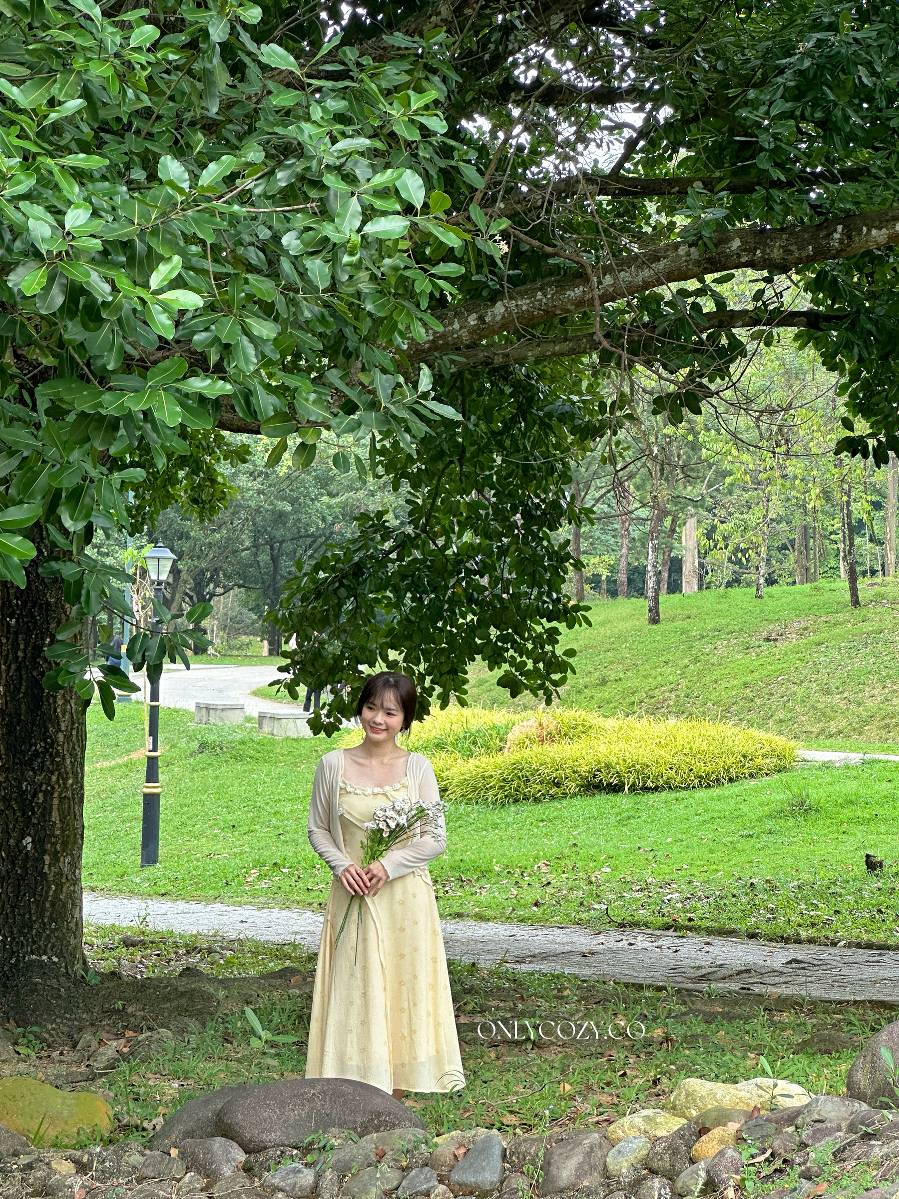 image_372DCD3E-2310-4AD4-A7C0-8DAAD9283033_1780919242