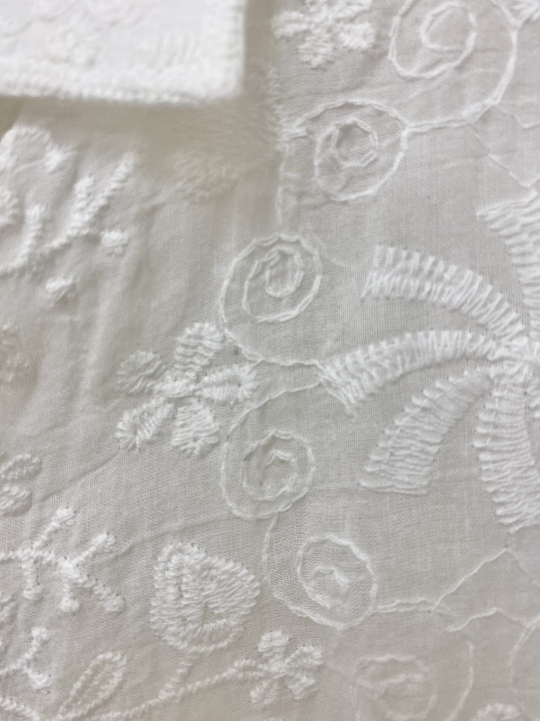 image_41E2FE7C-50BC-4D97-9BE8-226F3ED855CD_1751985058
