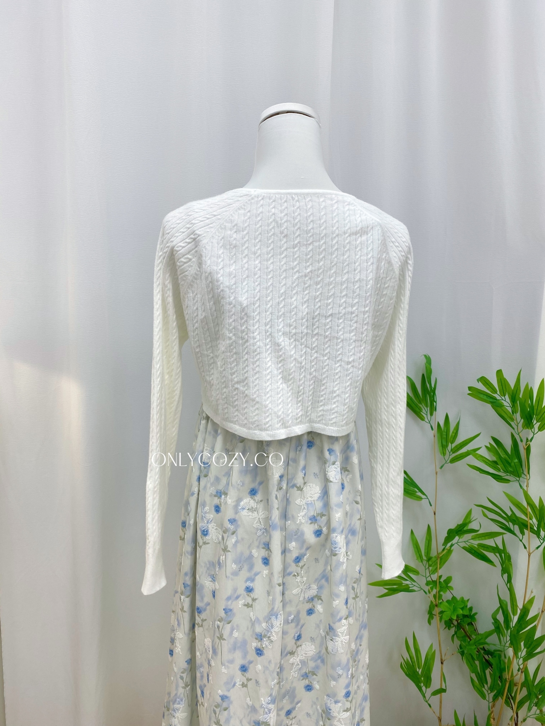 IMG_7516-1732077696145