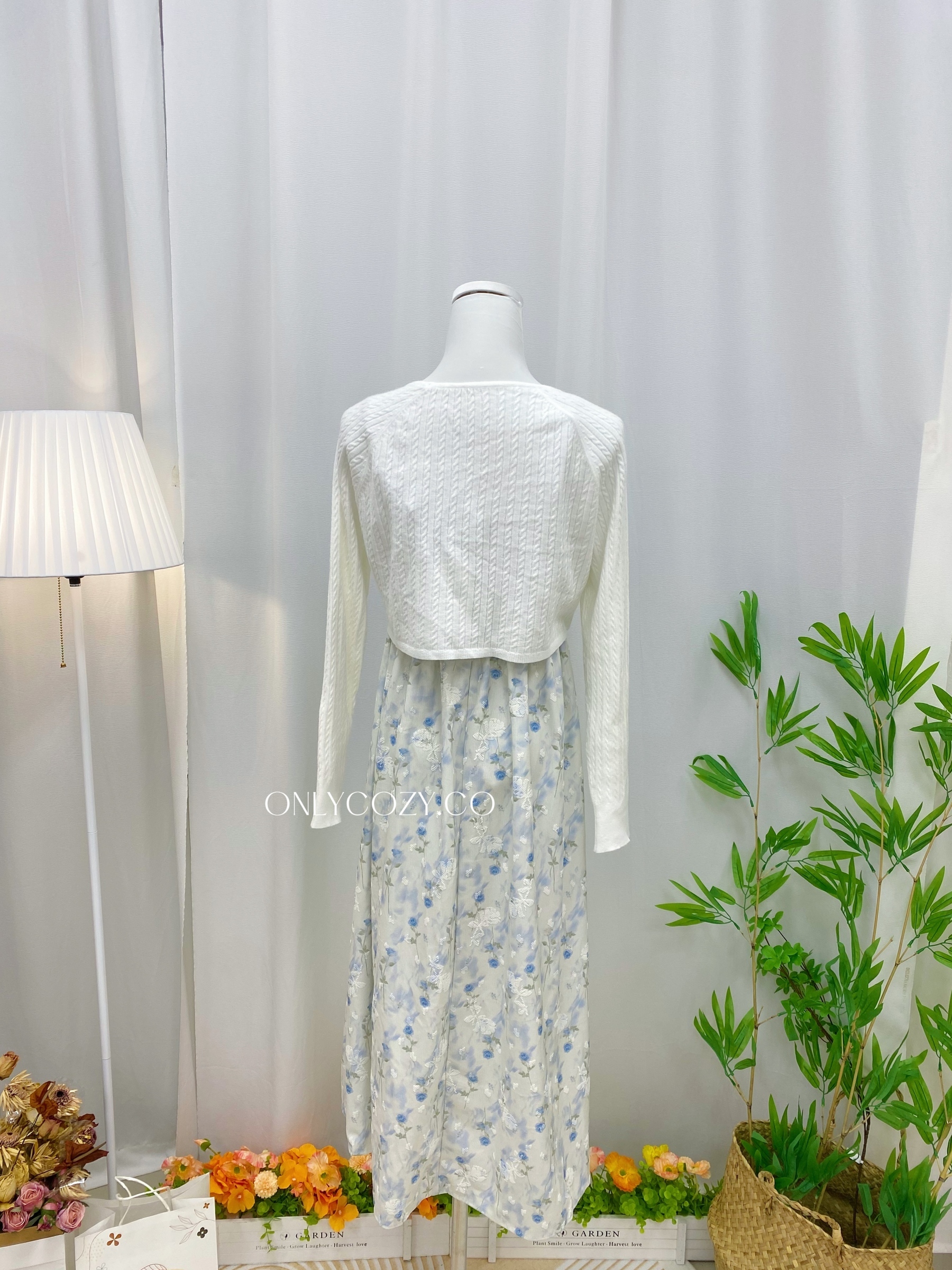 IMG_7517-1732077696148