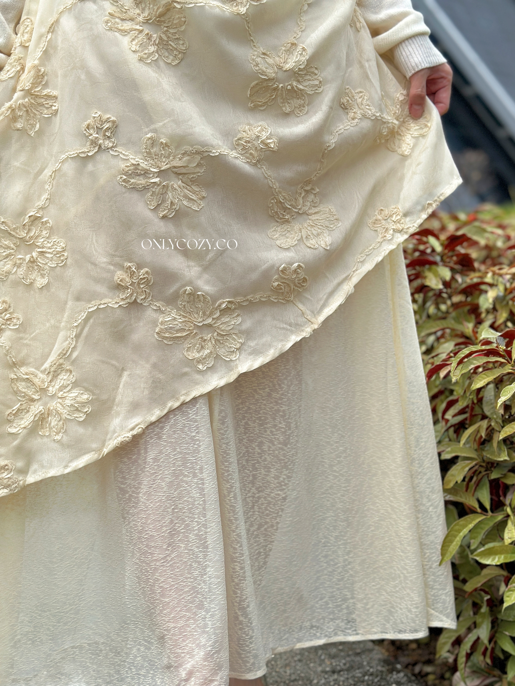 image_784779D0-B96E-443F-9949-C8A627EDD8CD_1763997817