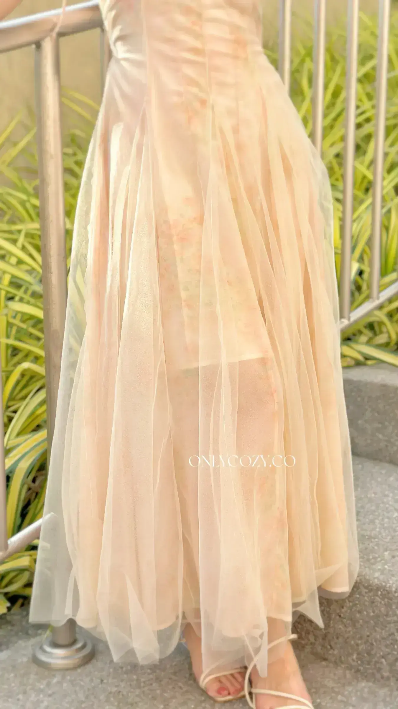 IMG_2583-1735896272824