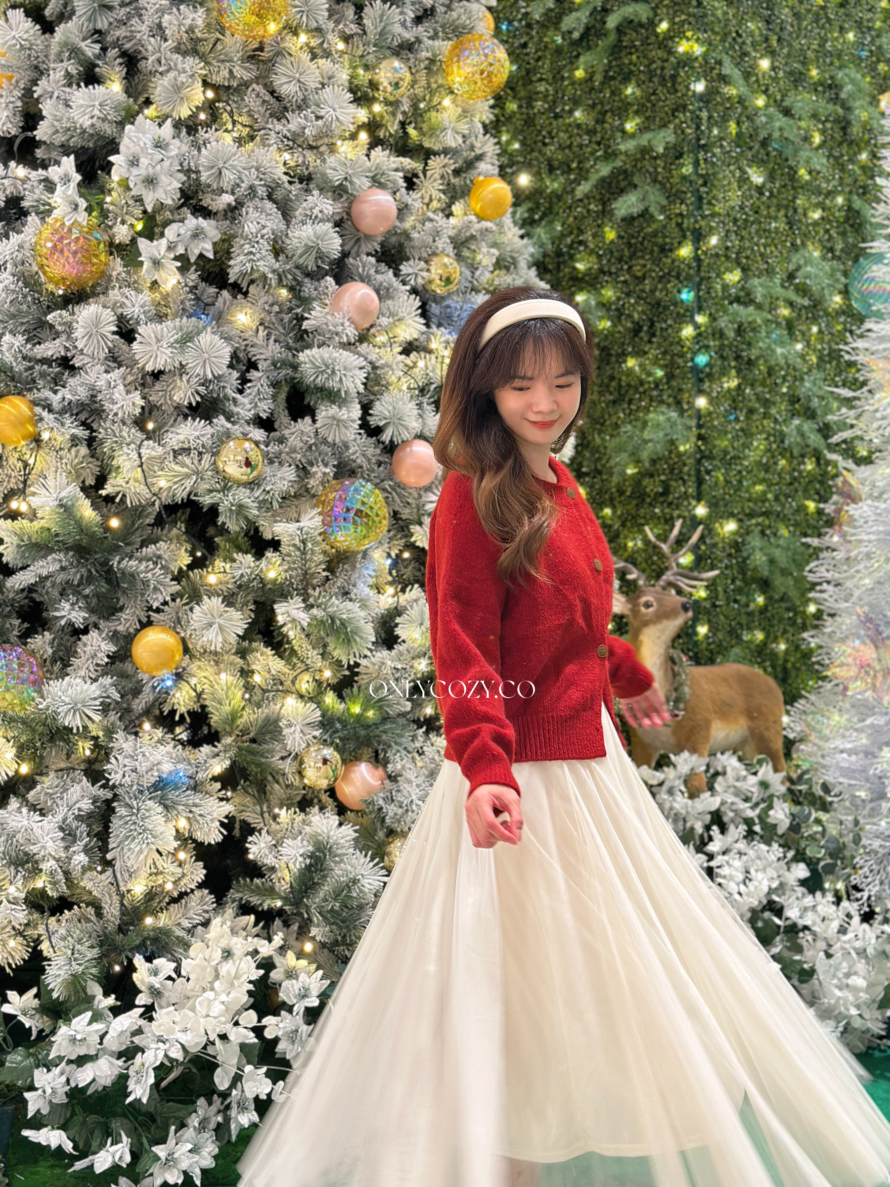 image_06D1978E-11E0-4C39-BAC3-7E6C31C5DA44_1765029125