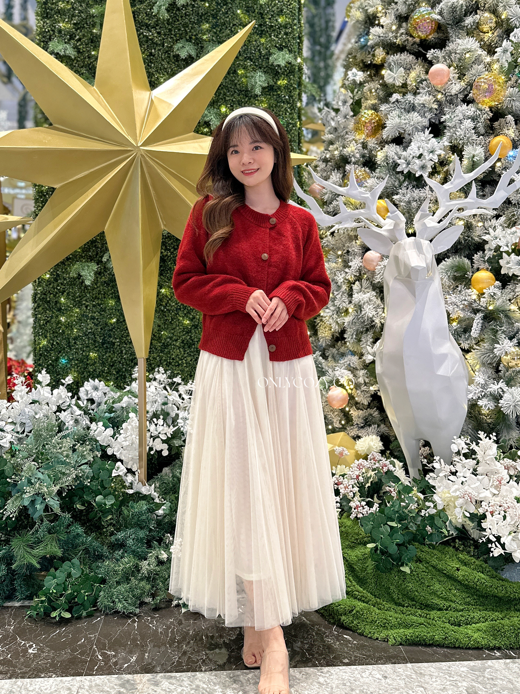 image_297B3661-604D-44D3-A986-F3F1DC4B175B_1765029126