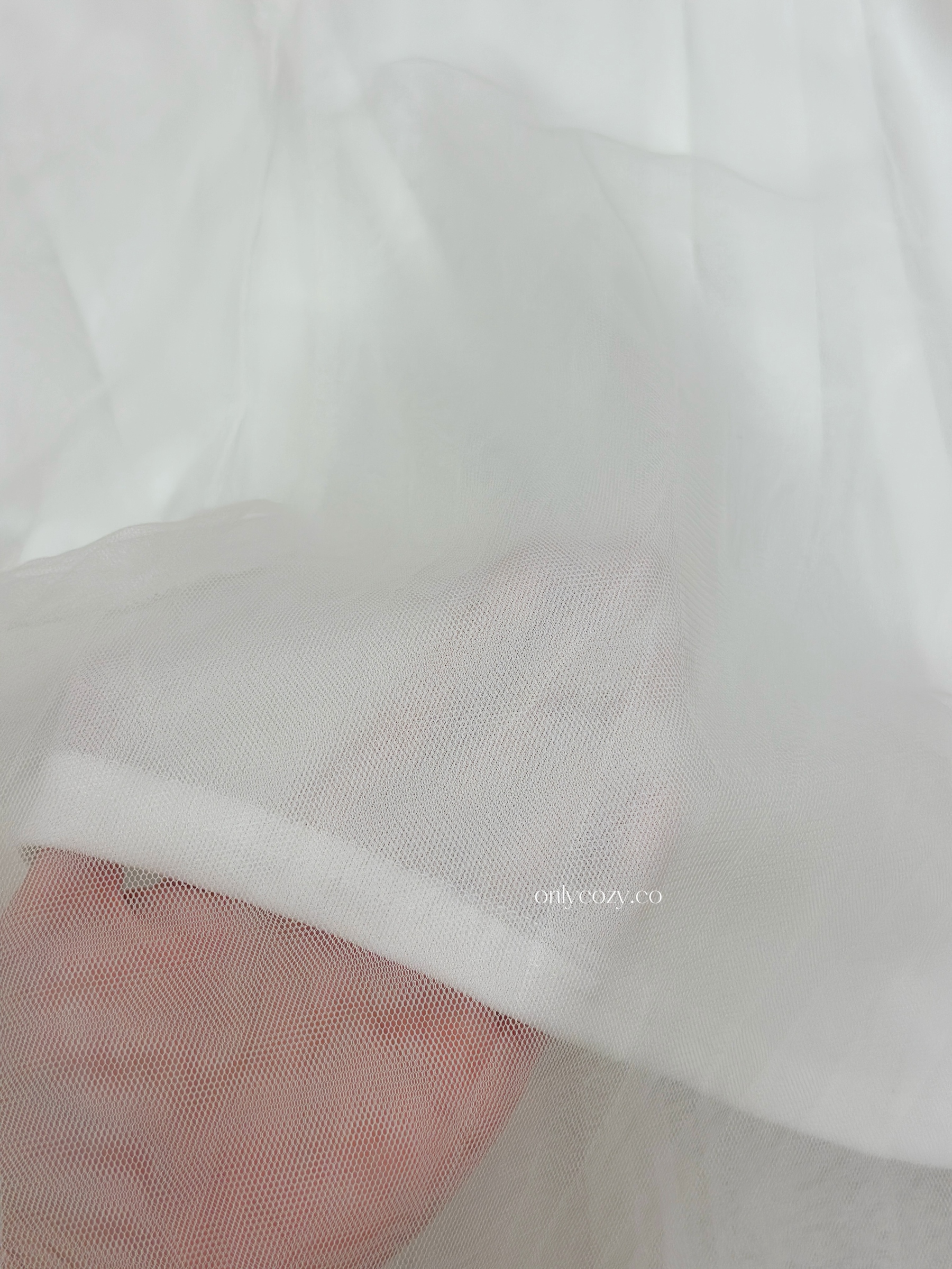 image_08E6A815-B18F-442D-BC5F-C741031AF1C9_1765343767